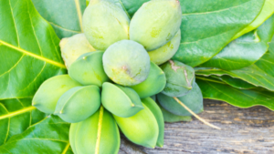 Tropical almond fruit